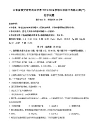 2024年山东省泰安市岱岳区中考二模化学试题（原卷版+解析版）