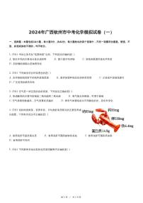 2024年广西钦州市中考化学模拟试卷