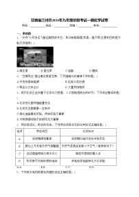 甘肃省兰州市2024年九年级诊断考试一模化学试卷(含答案)