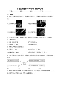 广东省深圳市2024年中考一模化学试卷(含答案)