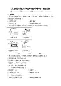 山东省潍坊市安丘市2024届九年级下学期中考一模化学试卷(含答案)