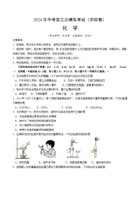 2024年中考第三次模拟考试题：化学（河南卷）（考试版）