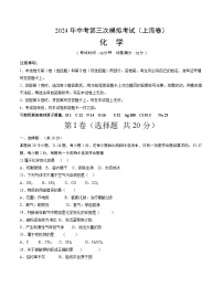2024年中考第三次模拟考试题：化学（上海卷）（考试版）