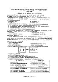 2024年江苏省连云港市外国语学校中考二模化学试卷