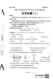 2024年陕西省汉中市中考模拟化学试题（二）