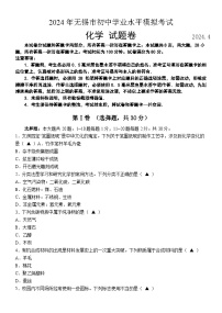 2024年江苏省无锡市中考模拟化学试题