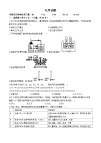 2024年四川省资阳市雁江区初中学业水平适应性考试（一模）化学试题(无答案)