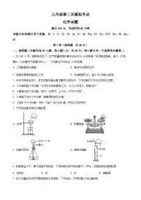 2024年山东省泰安市新泰市中考三模化学试题