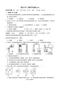 2024年山东省泰安市第六中学中考二模化学试卷