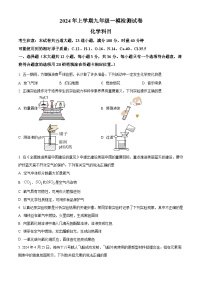 2024年湖南省长沙市雅礼教育集团中考一模考试化学试题（原卷版+解析版）