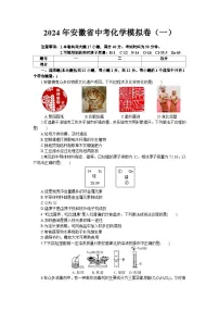 2024年安徽省中考模拟化学试卷（一）