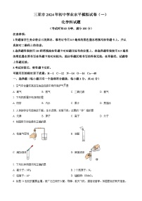 2024年海南省三亚市中考化学一模试题（原卷版+解析版）