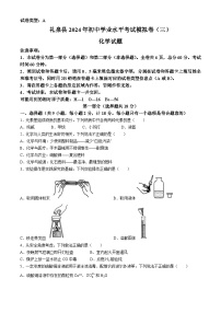 2024年陕西省咸阳市礼泉县初中学业水平考试模拟卷（三）化学试题