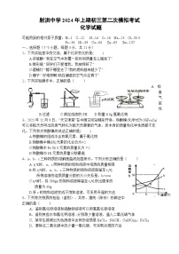 2024年四川省遂宁市射洪中学校中考二模化学试题