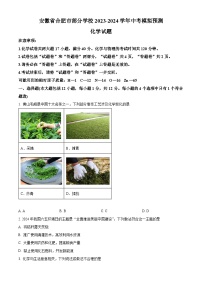 2024年安徽省合肥市部分学校中考模拟预测化学试题（原卷版+解析版）