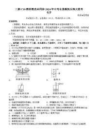 2024年湖南省岳阳市三湘C18联盟中考全真模拟压轴大联考化学试卷