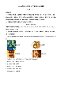 2024年山东省临沂市费县中考二模化学试题（原卷版+解析版）