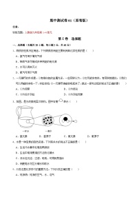 2024年人教版化学九年级上册期中测试卷01（原卷版+解析版）