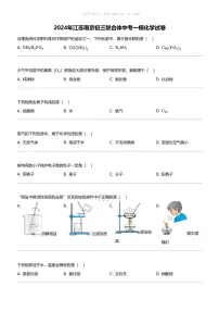 2024年江苏南京初三联合体中考一模化学试卷