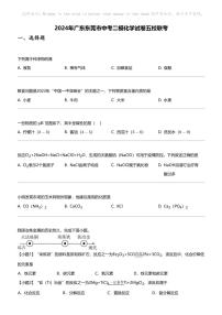 2024年广东东莞市中考二模化学试卷五校联考