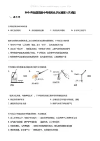 2024年陕西西安中考模拟化学试卷第六次模拟