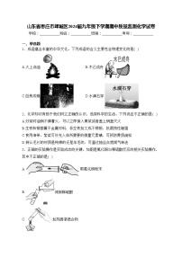 山东省枣庄市峄城区2024届九年级下学期期中质量监测化学试卷(含答案)
