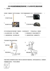 2024年安徽芜湖镜湖区芜湖市第二十九中学中考三模化学试卷