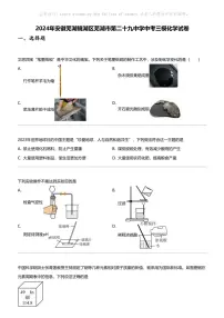2024年安徽芜湖镜湖区芜湖市第二十九中学中考三模化学试卷