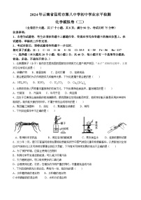 2024年云南省昆明市第八中学初中学业水平检测化学模拟卷（三）