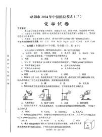2024年河南省洛阳市九年级中考三模化学试卷