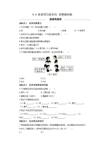 初中化学人教版九年级上册课题4 化学式与化合价精练