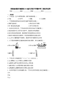 陕西省咸阳市秦都区2024届九年级下学期中考二模化学试卷(含答案)