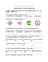 广东省梅州市丰顺县2023-2024学年九年级上学期期末化学试题