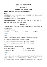 2024年山东省青岛市中考模拟化学试题（五）（学生版+教师版 ）