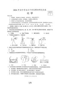 2024年湖南省沅江市初中学业水平考试化学模拟测试卷