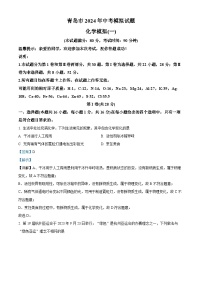 2024年山东省青岛市中考化学模拟试题（一）（学生版+教师版）