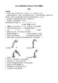 2024年陕西省汉中市初中学业水平考试化学押题卷(无答案)