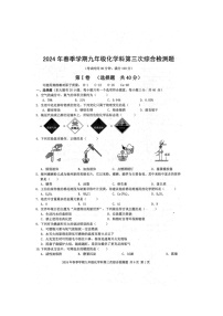 2024年广西防城港市防城区中考化学科中考模拟试题3（扫描版含答案）