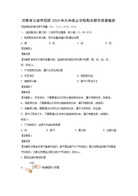 化学：吉林省长春市双阳2024年九年级上学期期末教学质量检测卷（解析版）