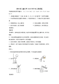 化学：贵州省六盘水市2024年中考二模试题（解析版）