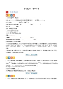 微专题12 化学计算-备战2024年中考化学一轮复习考点帮（人教版）（原卷版）