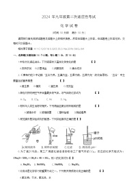 2024年河南省商丘市夏邑县中考二模化学试题