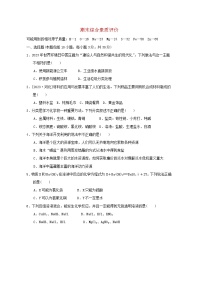 2024九年级化学下学期期末综合素质评价试卷（附答案鲁教版）