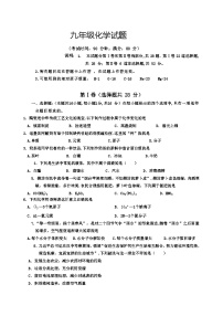 2024年山东省青岛市中考化学模拟试题