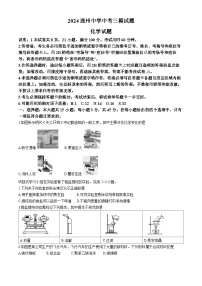 2024年广东省清远市连州中学中考三模化学试题