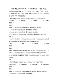 化学：湖北省宜昌市2024年下学期5月中考适应性（二模）试题（解析版）