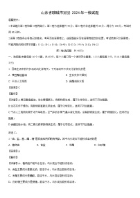 化学：山东省聊城市冠县中考2024年一模试题（解析版）