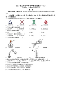 2024年天津市河东区第四十五中学中考模拟化学试题（十三）