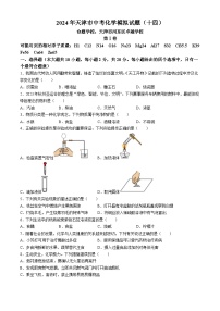 2024年天津市河东区卓越学校中考模拟化学试题（十四）