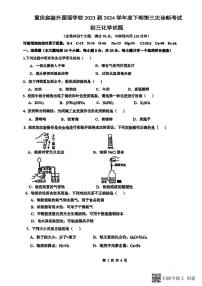2024年重庆市实验外国语学校中考三模化学试题